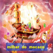 milhar do macaco que mais saem no jogo do bicho